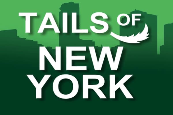 Tails Of New York - Slot Genii | RTP N/A | MisterTopCasino
