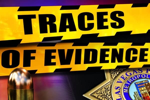 Traces of Evidence - Slot Genii | RTP N/A | MisterTopCasino