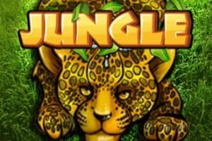 Jungle - Slot KA Gaming | RTP N/A | MisterTopCasino