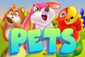 Pets - Slot KA Gaming | RTP N/A | MisterTopCasino