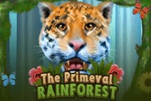 Primeval Rainforest - Slot KA Gaming | RTP N/A | MisterTopCasino