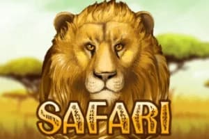 Safari Slots - Slot KA Gaming | RTP N/A | MisterTopCasino