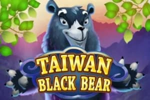Taiwan Black Bear - Slot KA Gaming | RTP N/A | MisterTopCasino