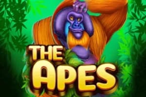 The Apes - Slot KA Gaming | RTP N/A | MisterTopCasino