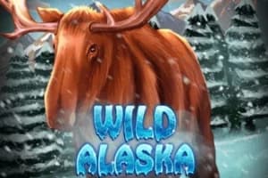 Wild Alaska - Slot KA Gaming | RTP N/A | MisterTopCasino