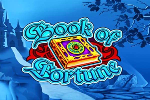 Book of Fortune - Slot Amatic | RTP N/A | MisterTopCasino