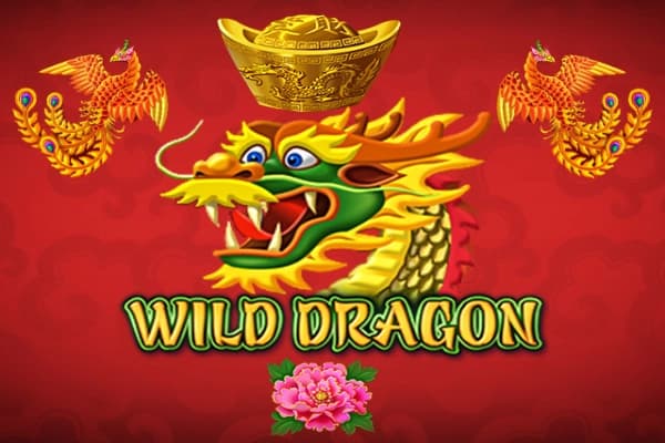 Wild Dragon - Slot Amatic | RTP N/A | MisterTopCasino