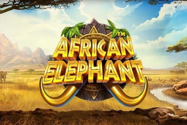 African Elephant - Slot Pragmatic Play | RTP 96.04% | MisterTopCasino