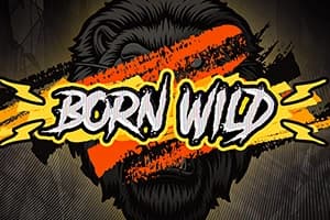 Born Wild - Slot Hacksaw Gaming | RTP 0.2% | MisterTopCasino