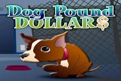 Dog Pound Dollars - Slot Rival | RTP N/A | MisterTopCasino