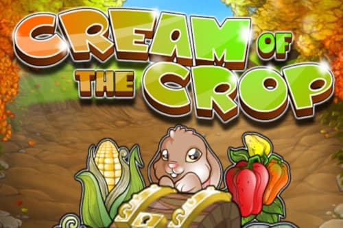 Cream of the Crop - Slot Rival | RTP N/A | MisterTopCasino