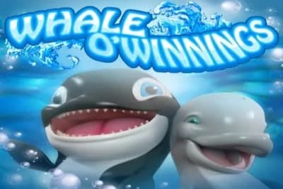 Whale O' Winnings - Slot Rival | RTP N/A | MisterTopCasino