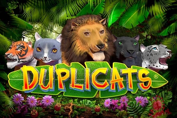 Duplicats - Slot Realistic Games | RTP N/A | MisterTopCasino