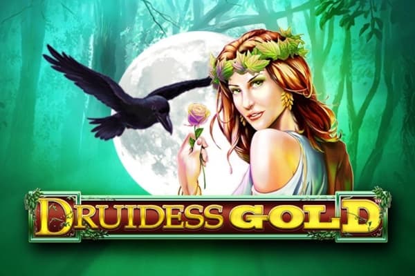 Druidess Gold - Slot Lightning Box Games | RTP 95.32% | MisterTopCasino