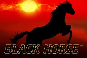 Black Horse - Slot Wazdan | RTP 96.07% | MisterTopCasino