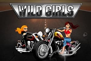Wild Girls - Slot Wazdan | RTP 96.53% | MisterTopCasino