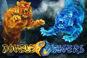 Double Tigers - Slot Wazdan | RTP 96.43% | MisterTopCasino