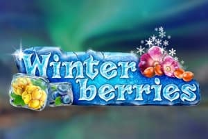 Winterberries - Slot Yggdrasil Gaming | RTP N/A | MisterTopCasino