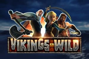 Vikings Go Wild - Slot Yggdrasil Gaming | RTP N/A | MisterTopCasino