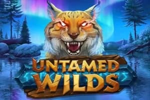 Untamed Wilds - Slot Yggdrasil Gaming | RTP N/A | MisterTopCasino