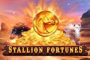 Stallion Fortunes - Slot Wizard Games | RTP N/A | MisterTopCasino