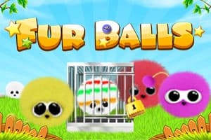 Fur Balls - Slot Wizard Games | RTP N/A | MisterTopCasino