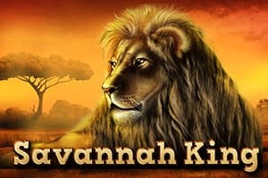 Savannah King - Slot Tom Horn Gaming | RTP N/A | MisterTopCasino