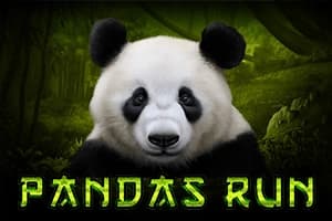 Pandas Run - Slot Tom Horn Gaming | RTP N/A | MisterTopCasino