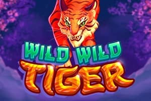 Wild Wild Tiger - Slot Swintt | RTP N/A | MisterTopCasino
