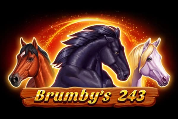 Brumby's 243 - Slot 1spin4win | RTP N/A | MisterTopCasino