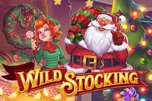 Wild Stocking - Slot Stakelogic | RTP N/A | MisterTopCasino
