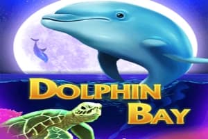 Dolphin Bay - Slot Ready Play Gaming | RTP N/A | MisterTopCasino