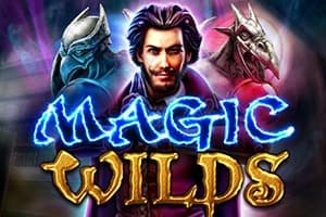 Magic Wilds - Slot Red Rake Gaming | RTP N/A | MisterTopCasino