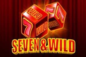 Seven&Wild - Slot 1spin4win | RTP N/A | MisterTopCasino