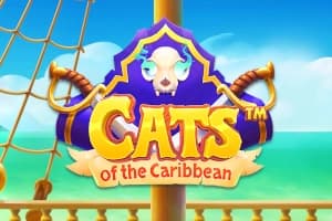 Cats of the Caribbean - Slot Snowborn Games | RTP N/A | MisterTopCasino