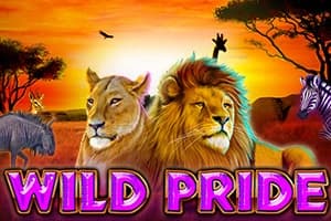 Wild Pride - Slot Booming Games | RTP N/A | MisterTopCasino