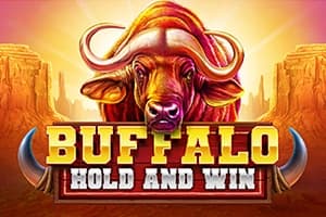 Buffalo Hold and Win - Slot Booming Games | RTP N/A | MisterTopCasino