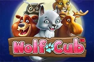 Wolf Cub - Slot NetEnt | RTP N/A | MisterTopCasino