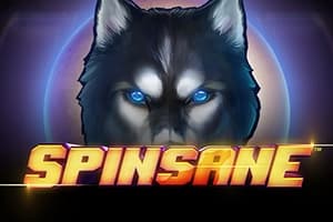Spinsane - Slot NetEnt | RTP N/A | MisterTopCasino