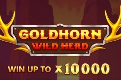 Goldhorn Wild Herd - Slot Barbara Bang | RTP N/A | MisterTopCasino