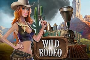 Wild Rodeo - Slot Fugaso | RTP N/A | MisterTopCasino
