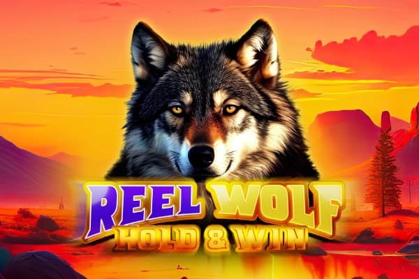 Reel Wolf - Slot Holle Games | RTP 95.43% | MisterTopCasino