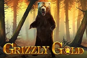 Grizzly Gold - Slot Blueprint Gaming | RTP 92.83% | MisterTopCasino