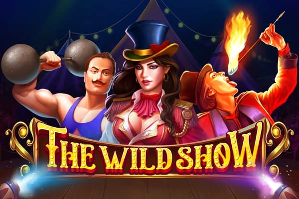The Wild Show - Slot Dragon Gaming | RTP N/A | MisterTopCasino