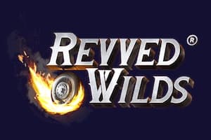 Revved Wilds - Slot Spinberry | RTP N/A | MisterTopCasino