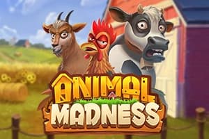 Animal Madness - Slot Play'n GO | RTP N/A | MisterTopCasino