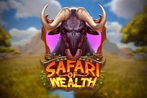 Safari of Wealth - Slot Play'n GO | RTP N/A | MisterTopCasino