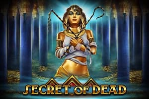 Secret of Dead - Slot Play'n GO | RTP N/A | MisterTopCasino