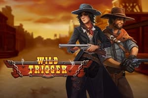 Wild Trigger - Slot Play'n GO | RTP N/A | MisterTopCasino