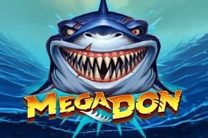 Mega Don - Slot Play'n GO | RTP N/A | MisterTopCasino